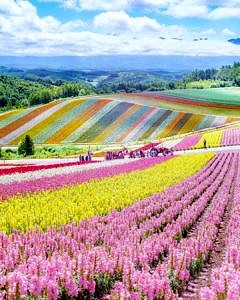 Hokkaido  Japonia
