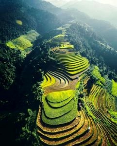 Pola ryżowe Wietnam